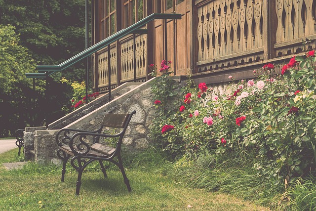 更是参与到 更是参与到