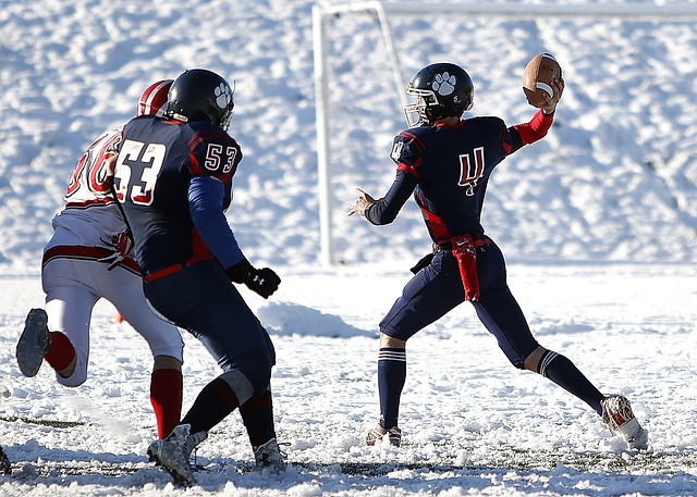 鹕的阵容架 鹕的阵容架