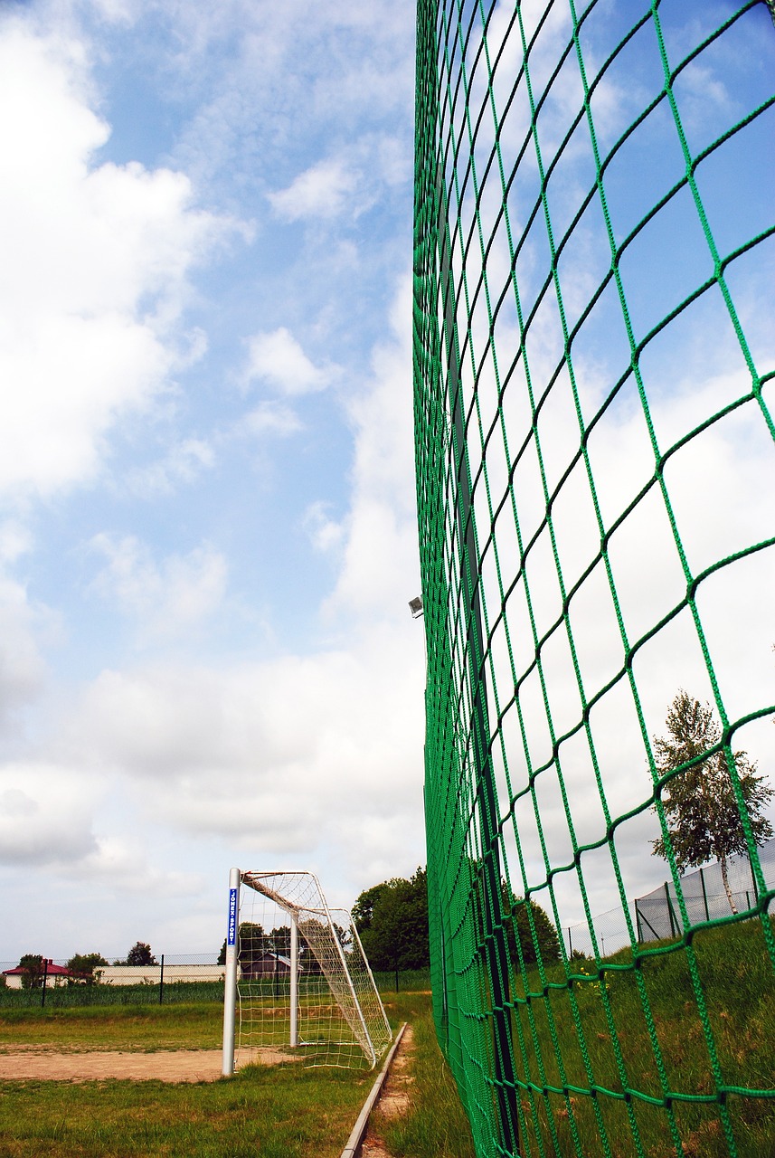 他的一記抄 他的一記抄