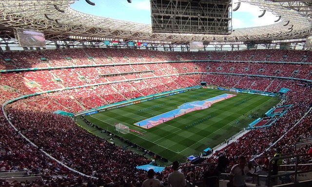 多球迷和专 多球迷和专