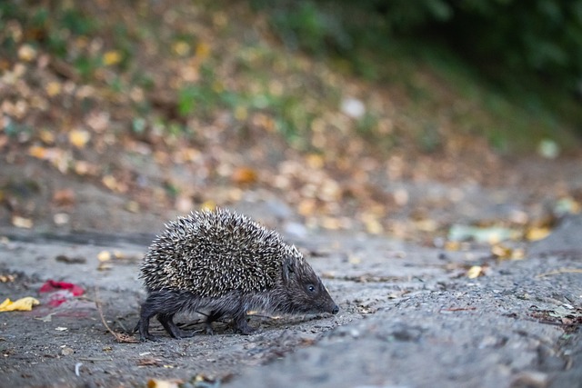 一大看點 一大看點