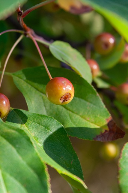 次关键传球 次关键传球