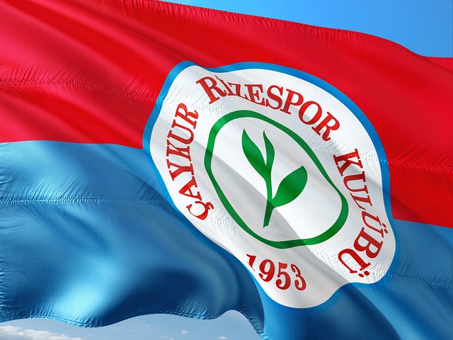 并迅速助攻 并迅速助攻