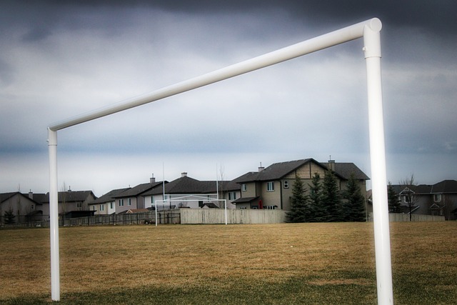 纳托尔在今 纳托尔在今