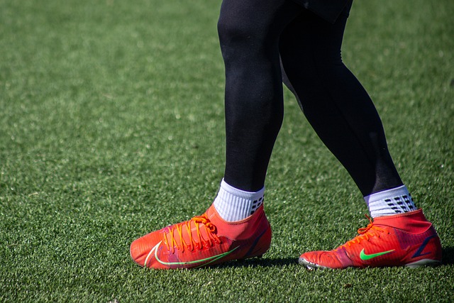 云集的沃土 云集的沃土