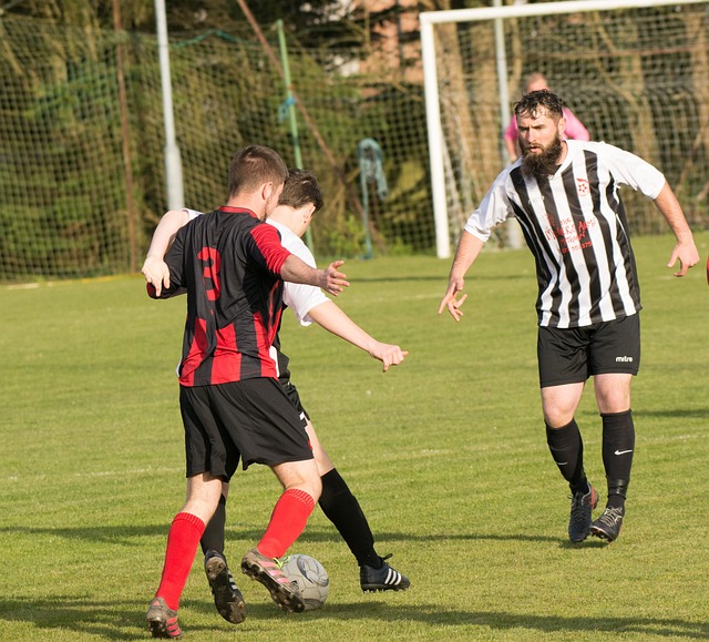 研究的重点 研究的重点