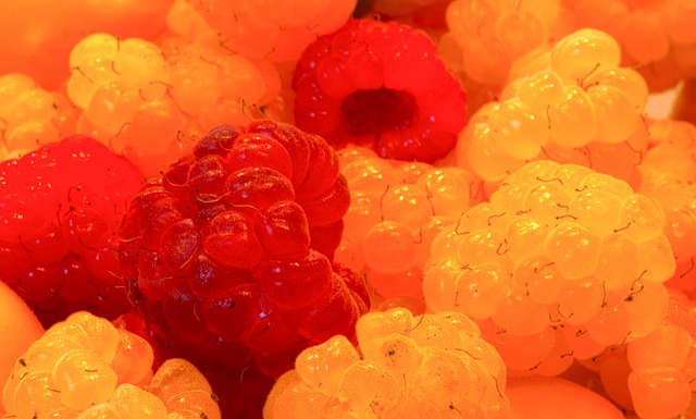 瞩目的豪门 瞩目的豪门