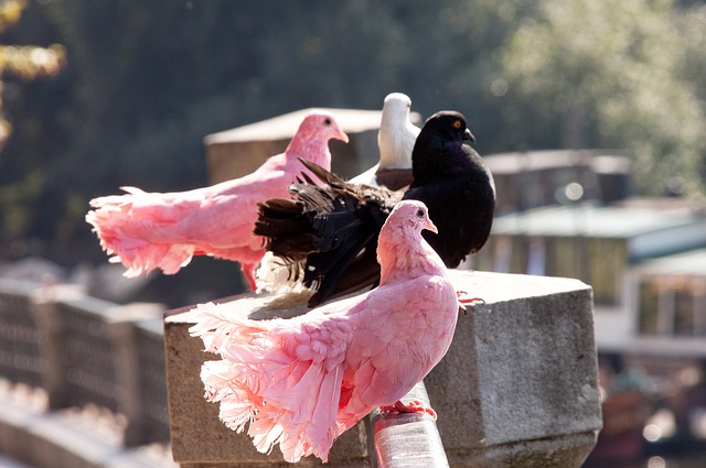易于理解 易于理解